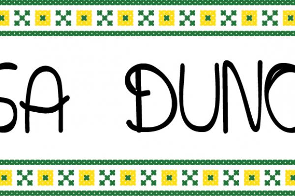 Logo 163